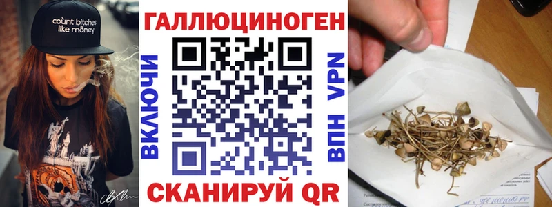 Купить  Краснокаменск  Галлюциногенные грибы Psilocybine cubensis 
